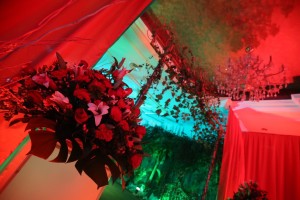 Red World Theme